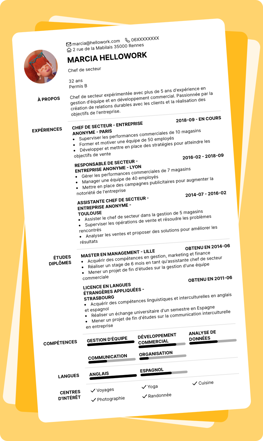 Modèle CV Chef de secteur Exemple CV Chef de secteur