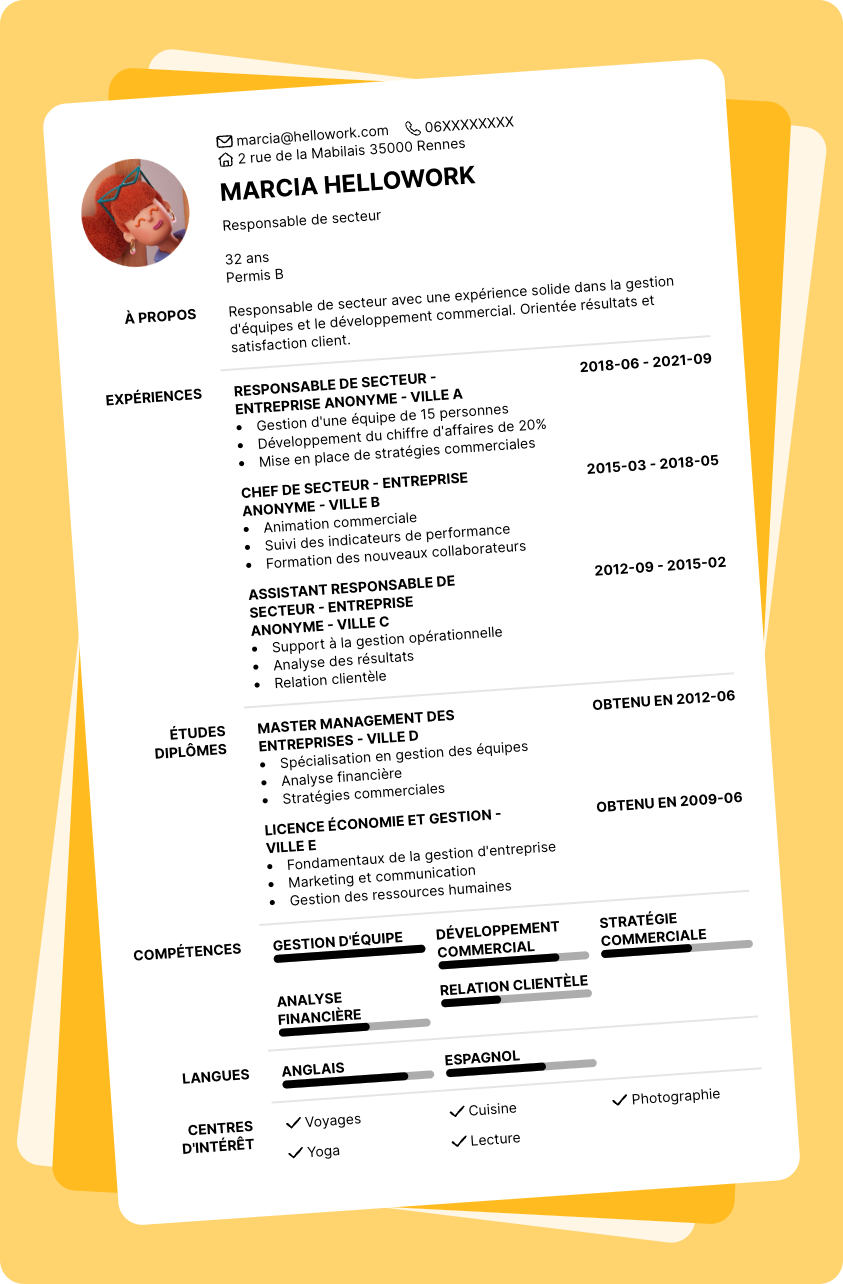 Exemple CV Responsable de secteur