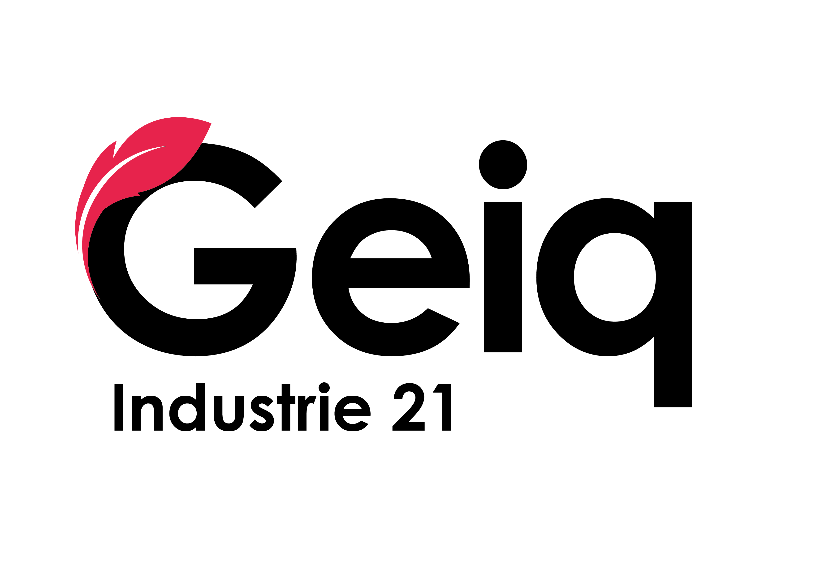 Logo GEIQ Industrie 21