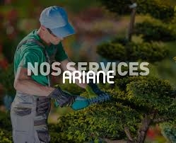 Visuel Ariane