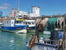 Visite du port de pêche de Saint Gilles Croix de Vie