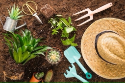 Découvrez le métier d'horticulteur