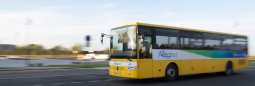 Découvrez le métier de conducteur/trice de car scolaire