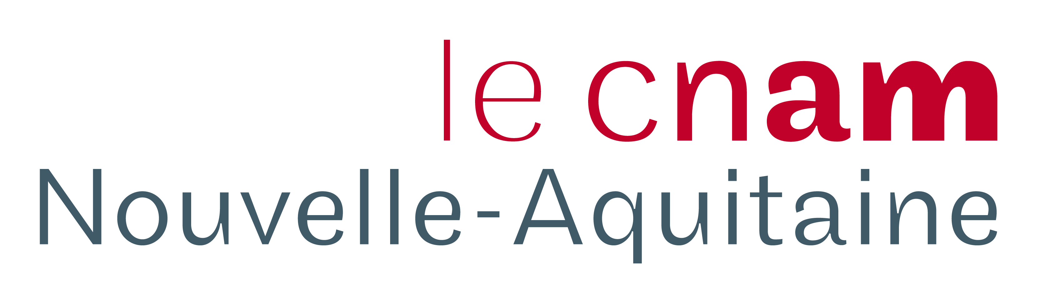 Logo CNAM NOUVELLE-AQUITAINE [Stand B11]