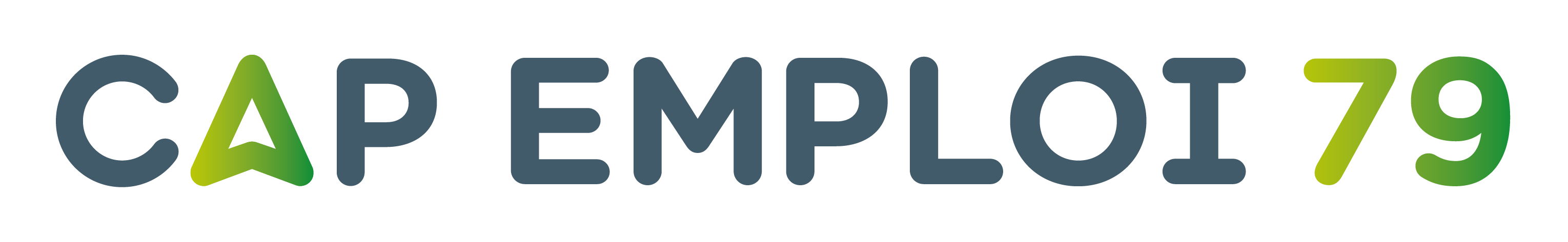 Logo CAP EMPLOI 79 - STAND A03