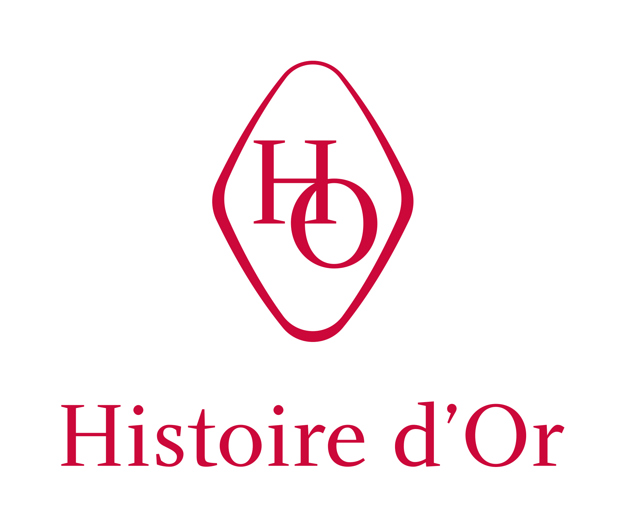 Logo de THOM GROUP