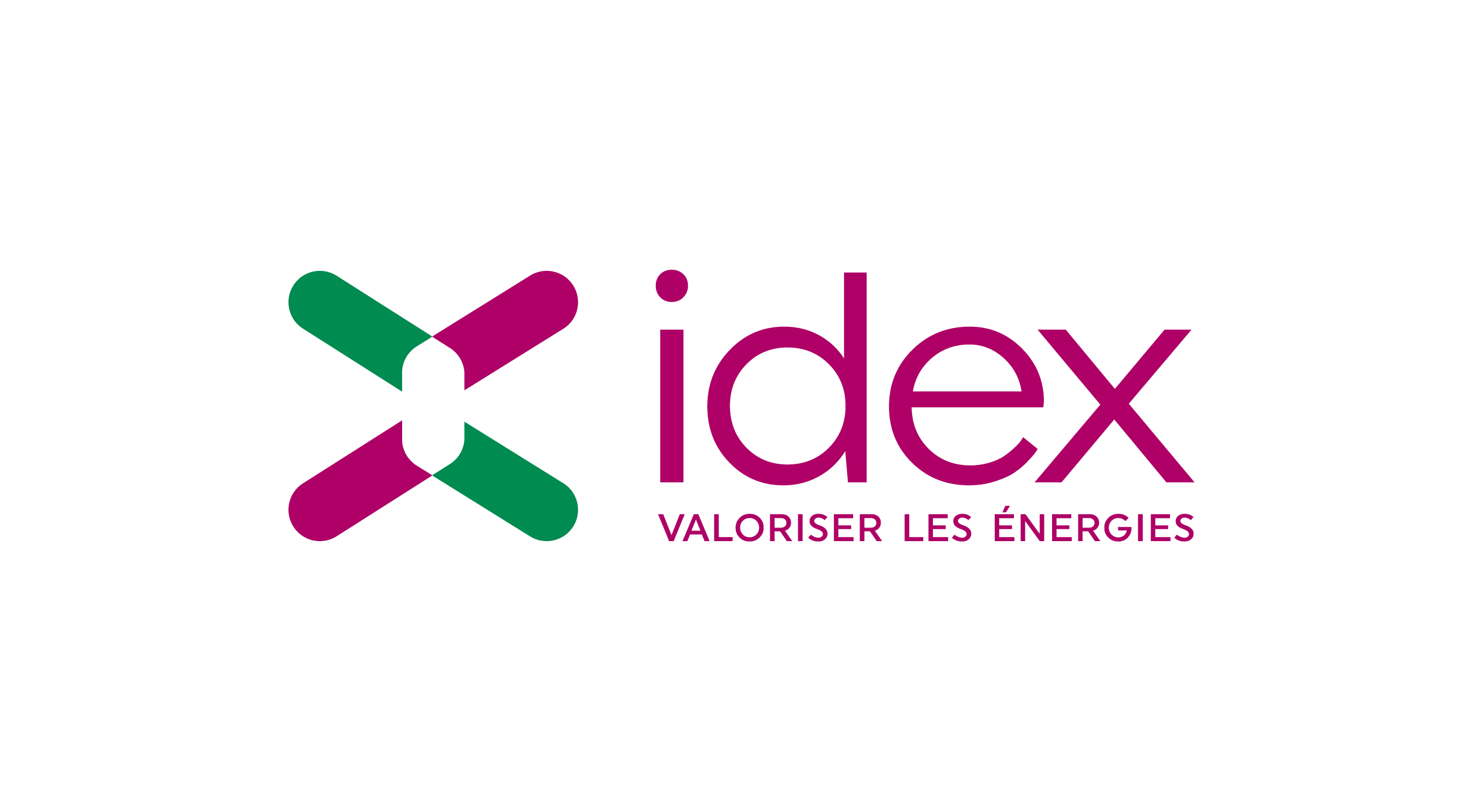 Logo IDEX