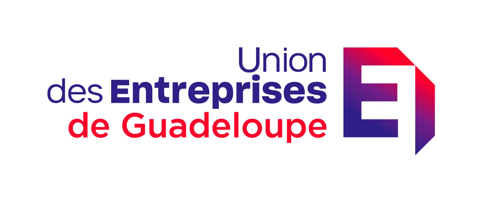 Logo de UDE MEDEF Guadeloupe