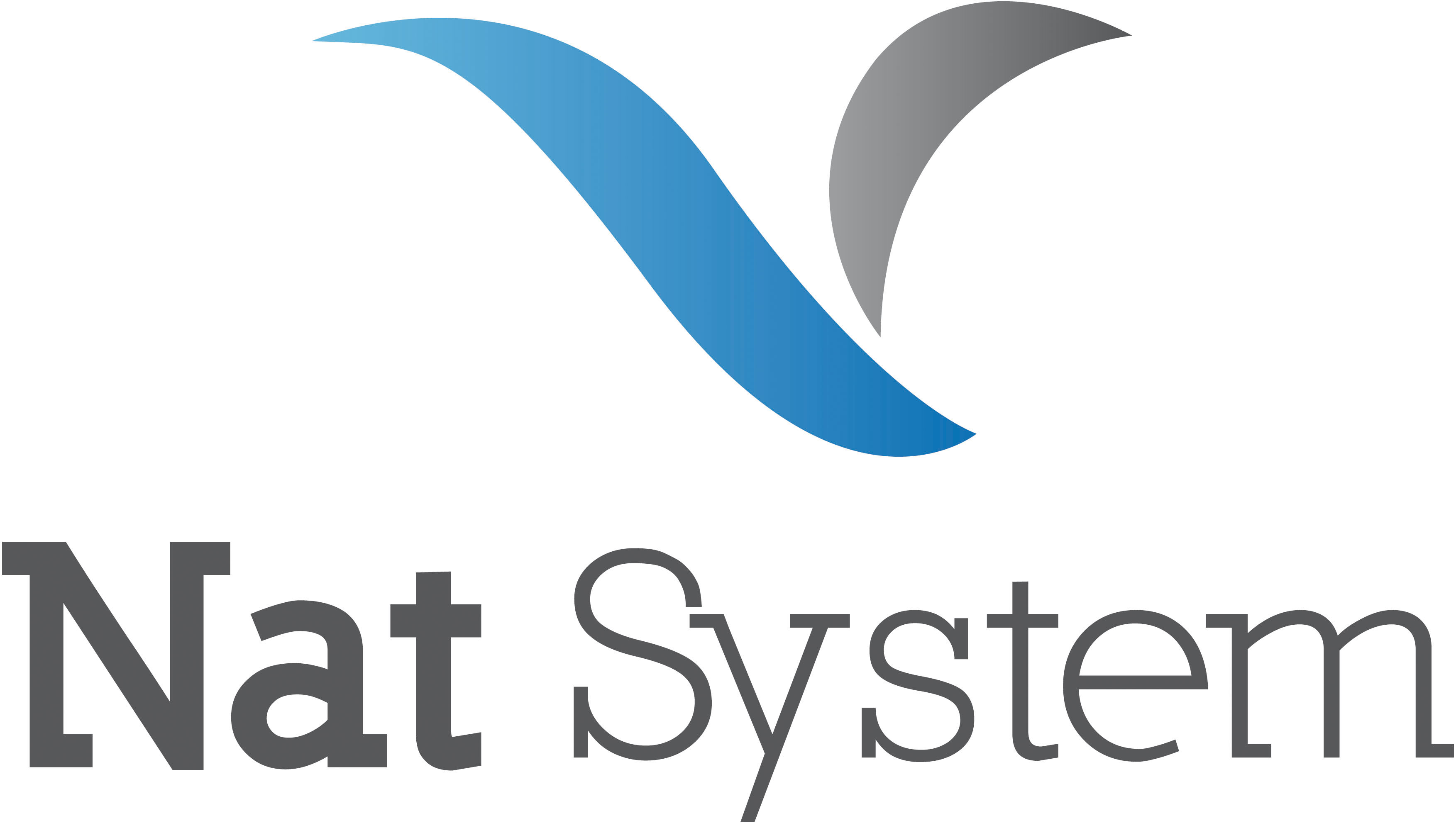 Logo de NAT SYSTEM