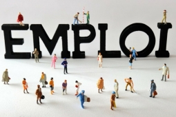 Marché de l’emploi 2025 : un ralentissement, mais aussi des opportunités à saisir