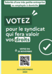 Élections professionnelles des représentants des salariés des TPE