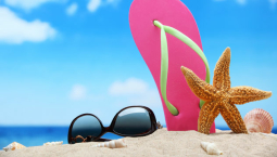 VACANCES CELLULE EMPLOI 