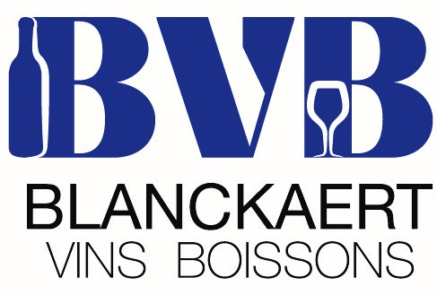 Logo SAS BVB