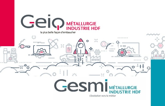 Logo de GEIQ MI HDF