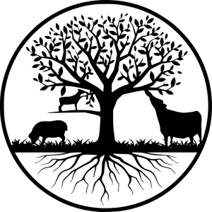 Logo Terra Casei