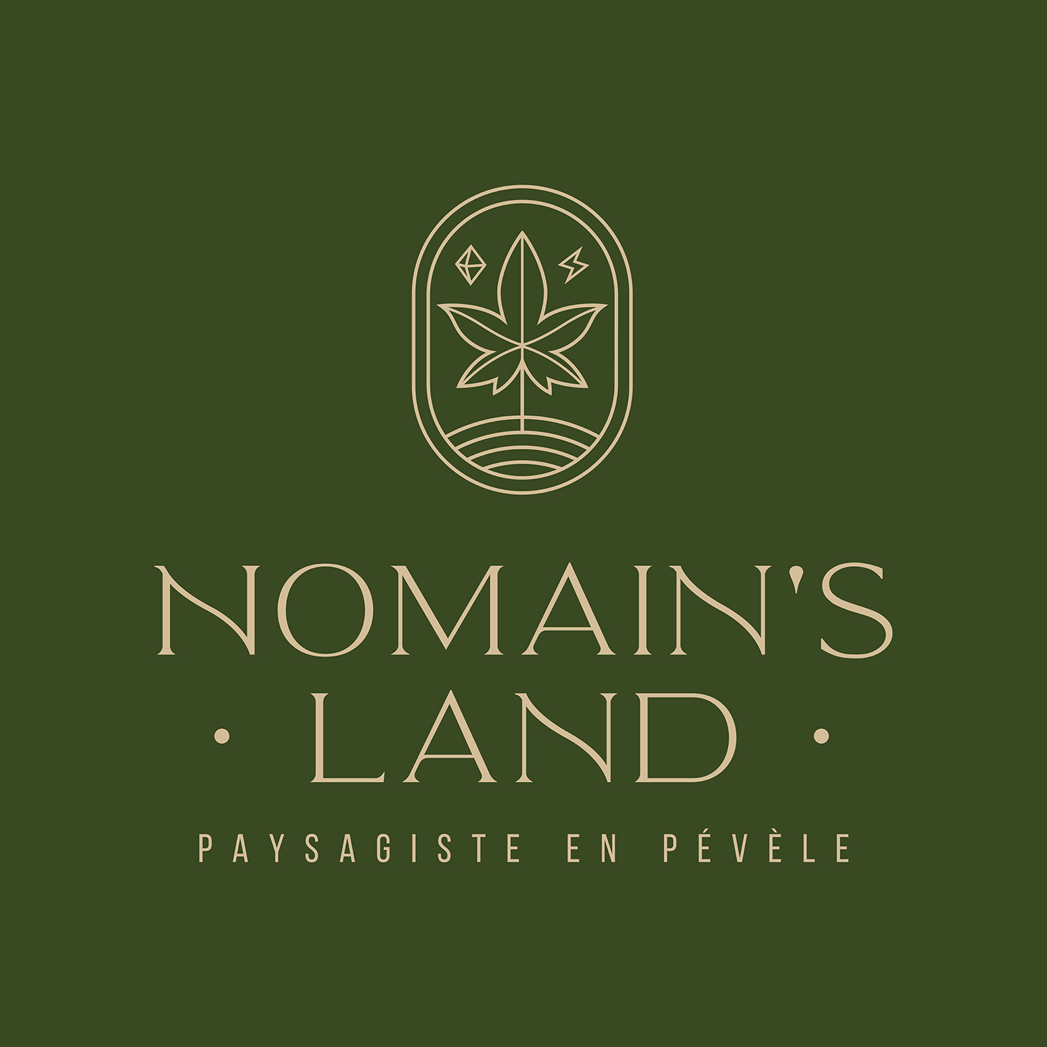 Logo Nomain's Land