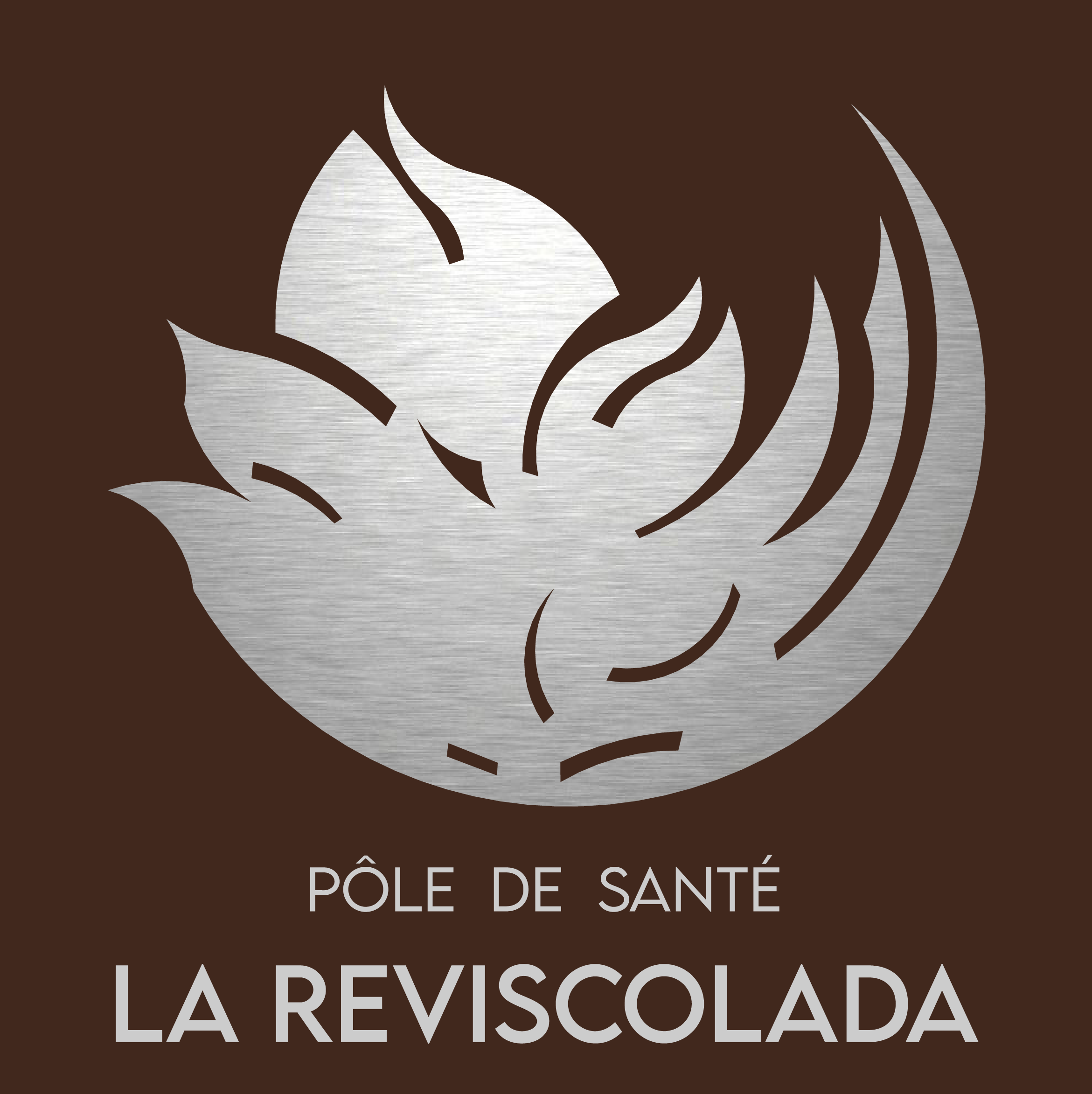 Logo POLE DE SANTE LA REVISCOLADA