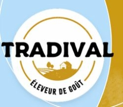 L'entreprise TRAVIVAL recrute : découvrez les postes proposés : info collective d'ADEF+