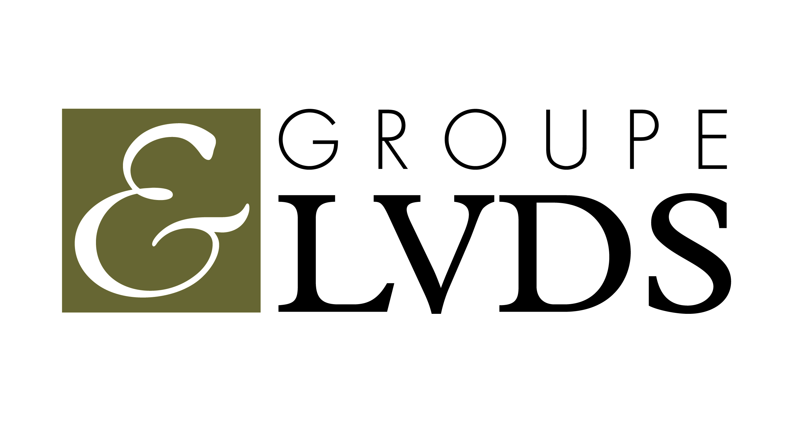 Logo GROUPE LVDS