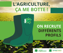 Recrutement : Finistère Remplacement et Partag'emploi ça me botte cet été ! 