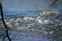 Les métiers de l'eau en Nouvelle-Aquitaine : engagés pour la planète