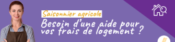 Une aide au logement gratuite pour les saisonniers du secteur agricole