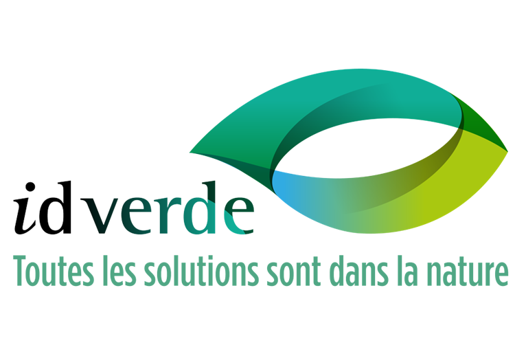 Logo id verde