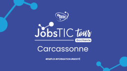 Appel à Manifestation d'Intérêt : JobsTIC