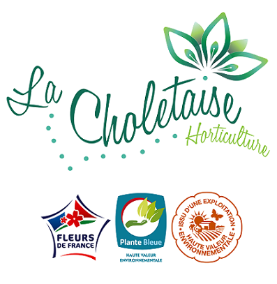 Logo de LA CHOLETAISE HORTICULTURE - SAS L'Etang Neuf