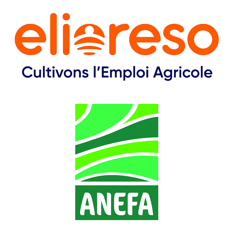 Logo de ANEFA ELIORESO