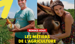 Les métiers de l’agriculture