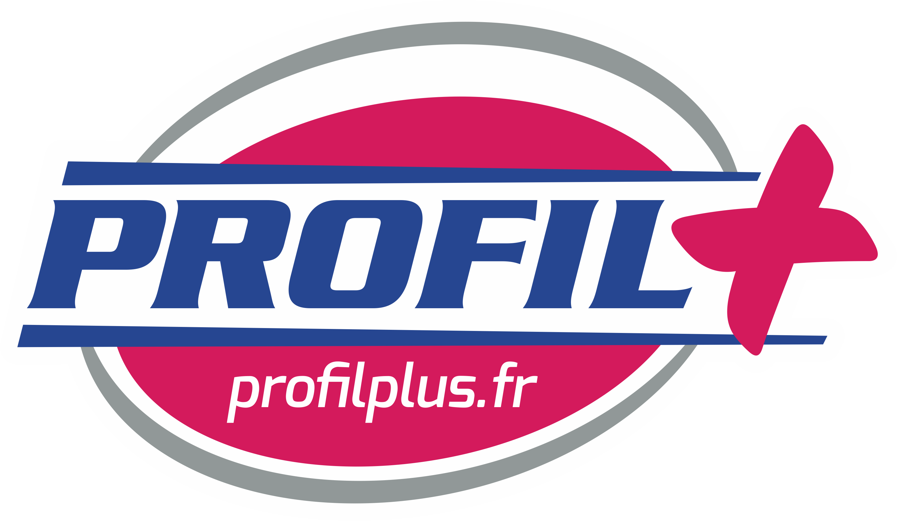 Logo Profil Plus