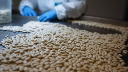 Deux nouvelles histoires d’entreprises normandes à découvrir !