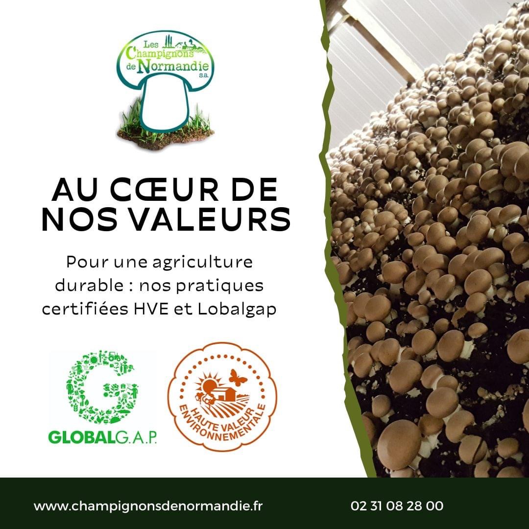 Logo LES CHAMPIGNONS DE NORMANDIE