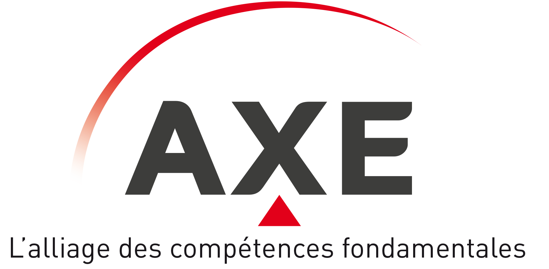 Logo de AXE METAL