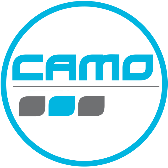 Logo de CAMO EMPLOI