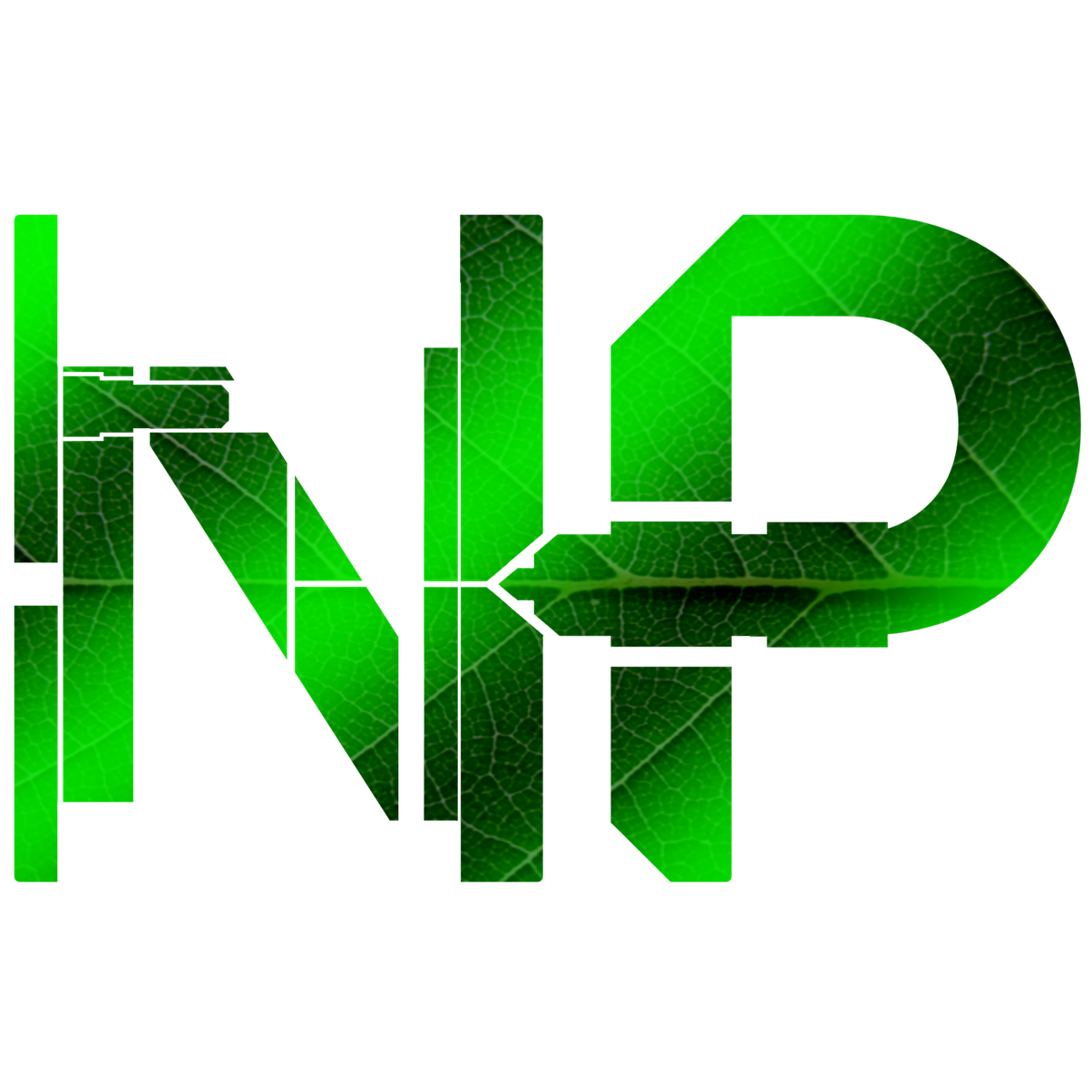 Logo Nouvelle Plasturgie