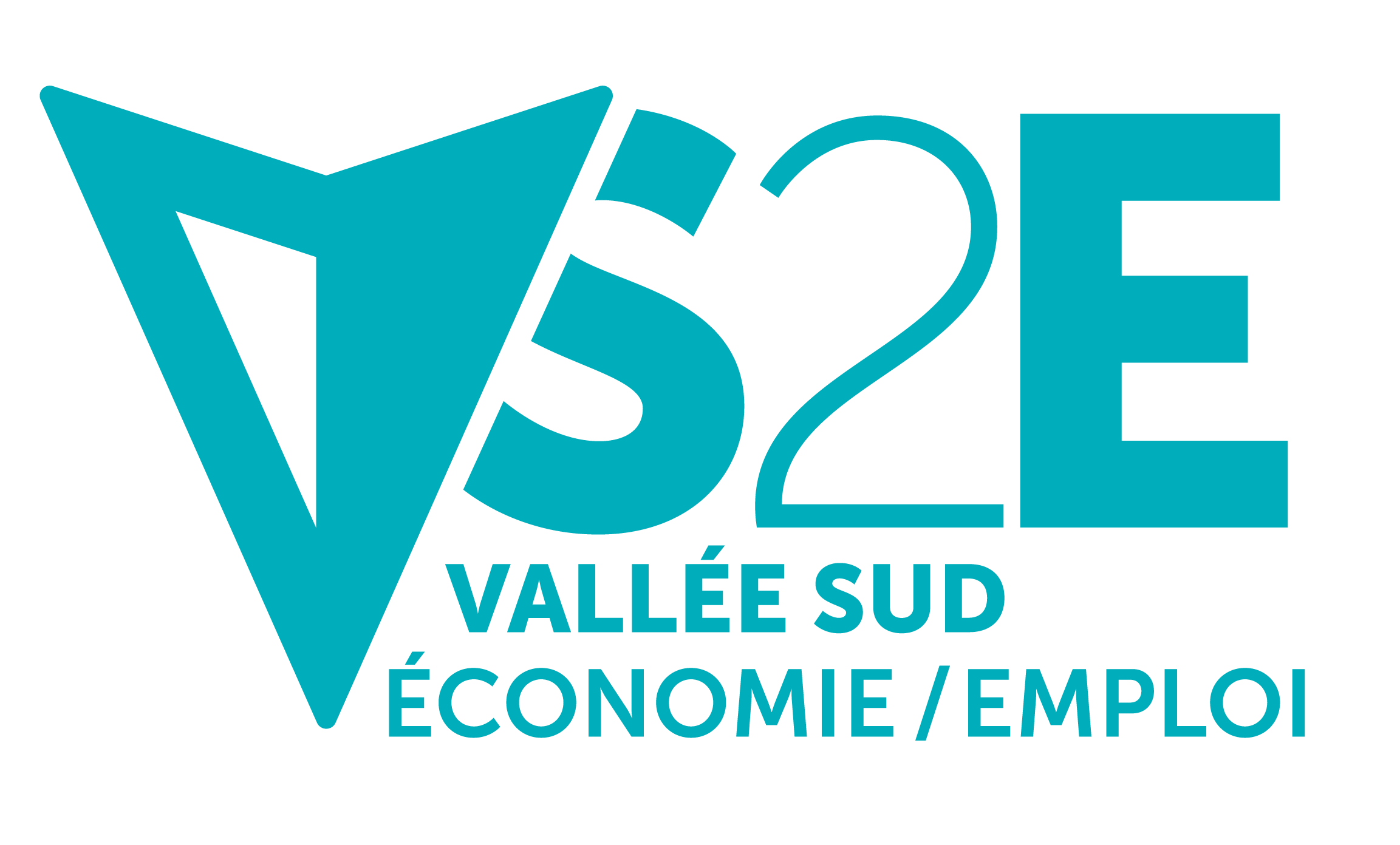 Logo VALLÉE SUD ÉCONOMIE & EMPLOI