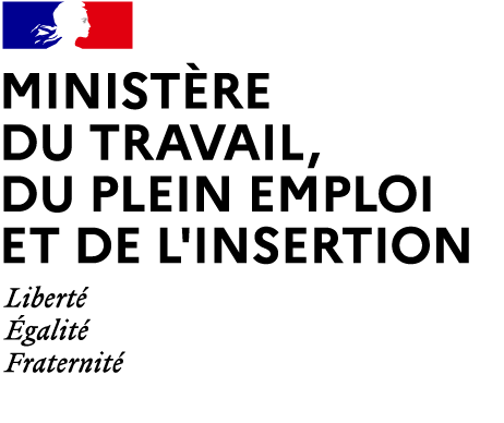 ministère du travail plein emploi et insertion