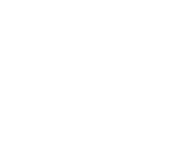 Metz Emploi