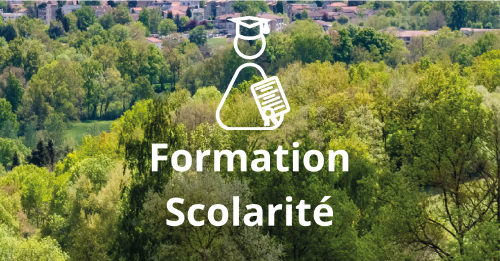 formation scolarité