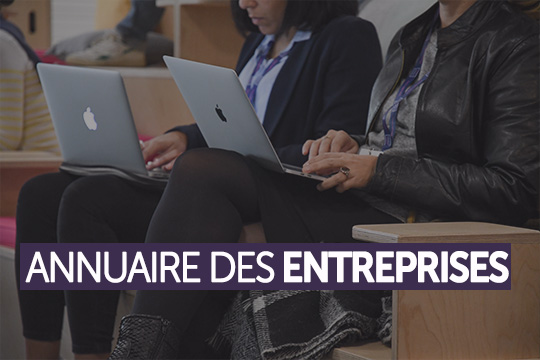 annuaire des entreprises